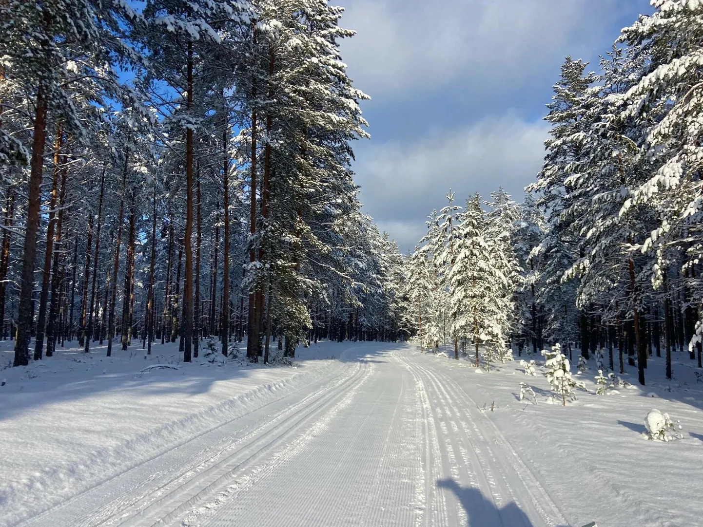 Alutaguse suusarajad 4. veebruaril