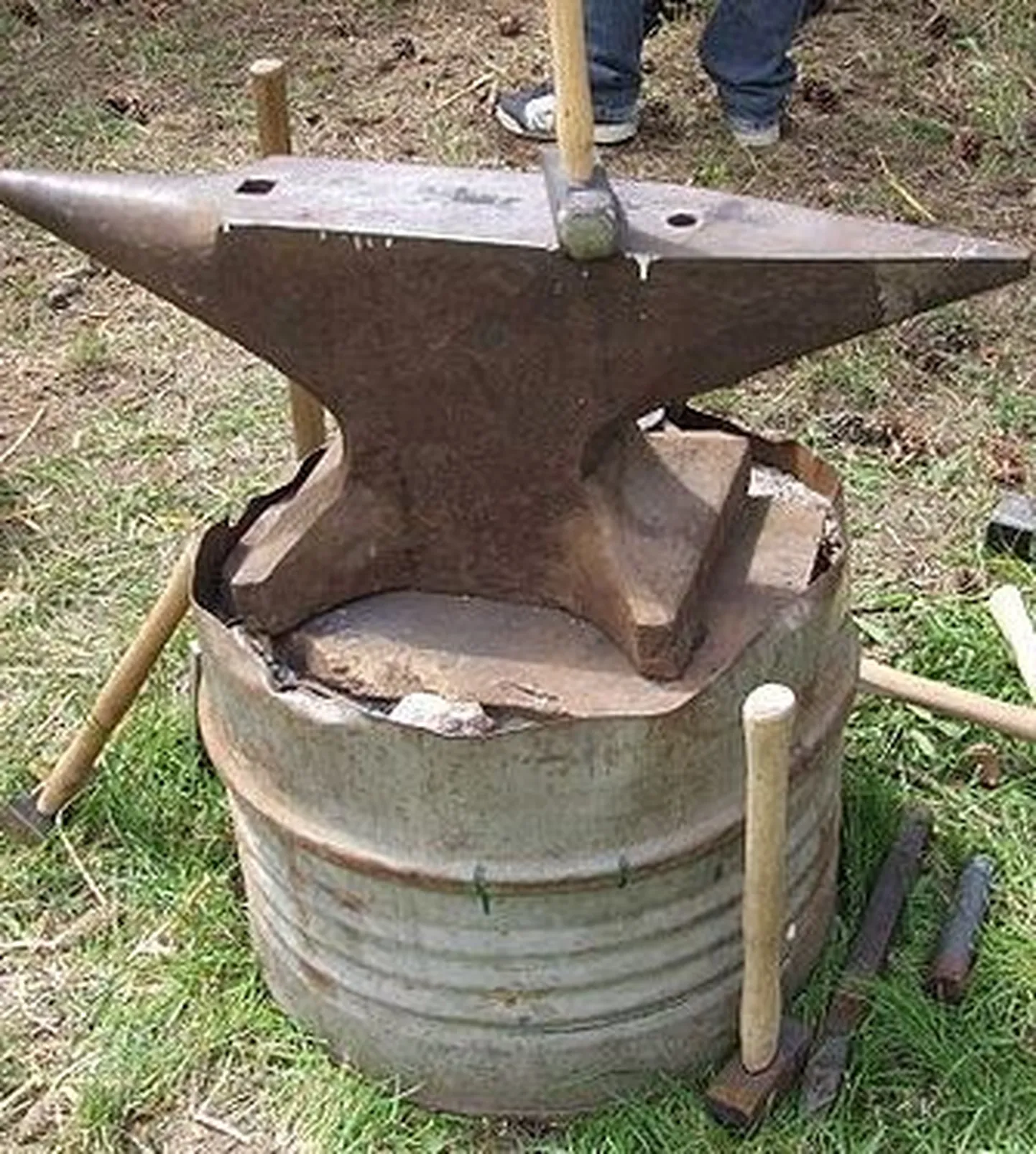 Alasi