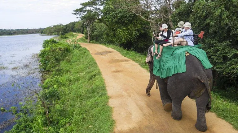 Туристы на слоне на Шри-Ланке.