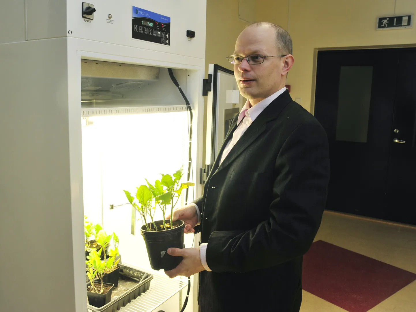 Professor Ülo Niinemets.