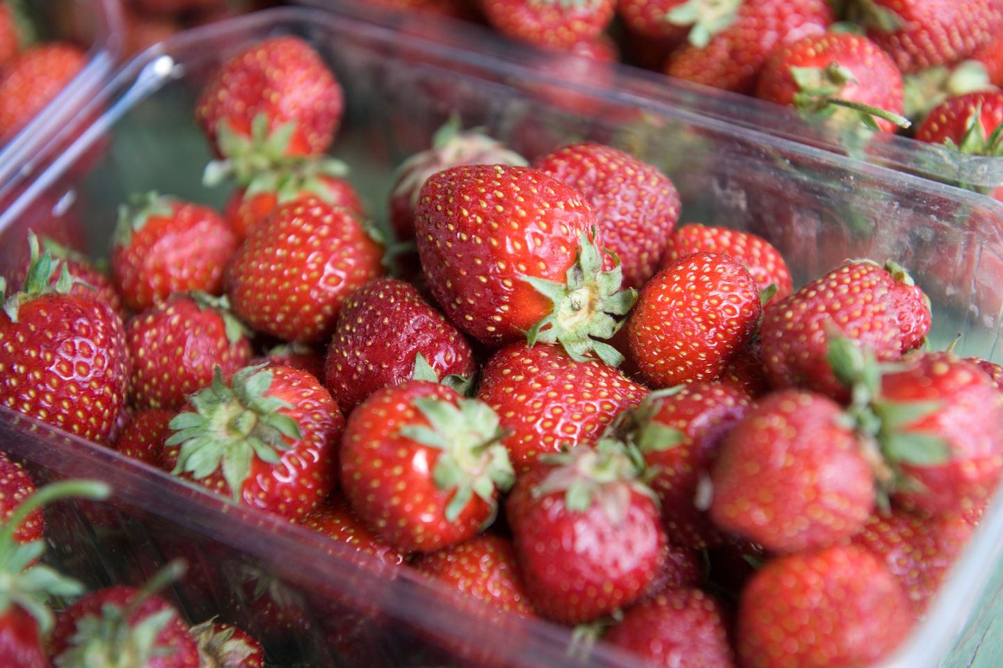 Eesti maasikad