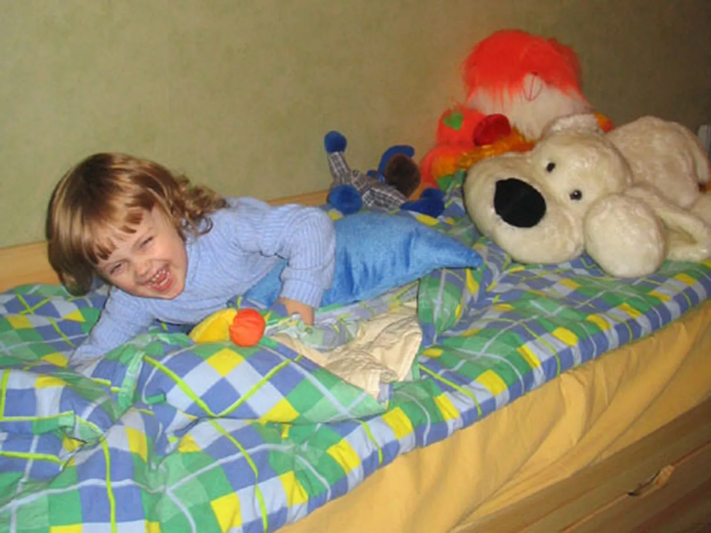 Raksta foto