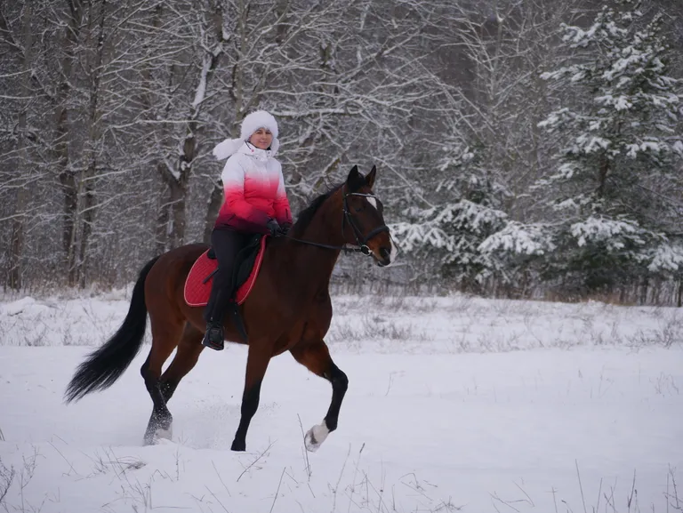 В конный спорт Анна пришла в 14 лет.