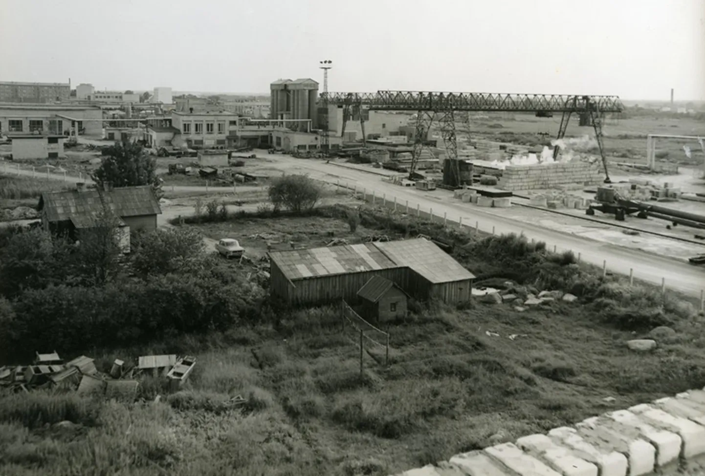 SAARE KEK 1981. aastal