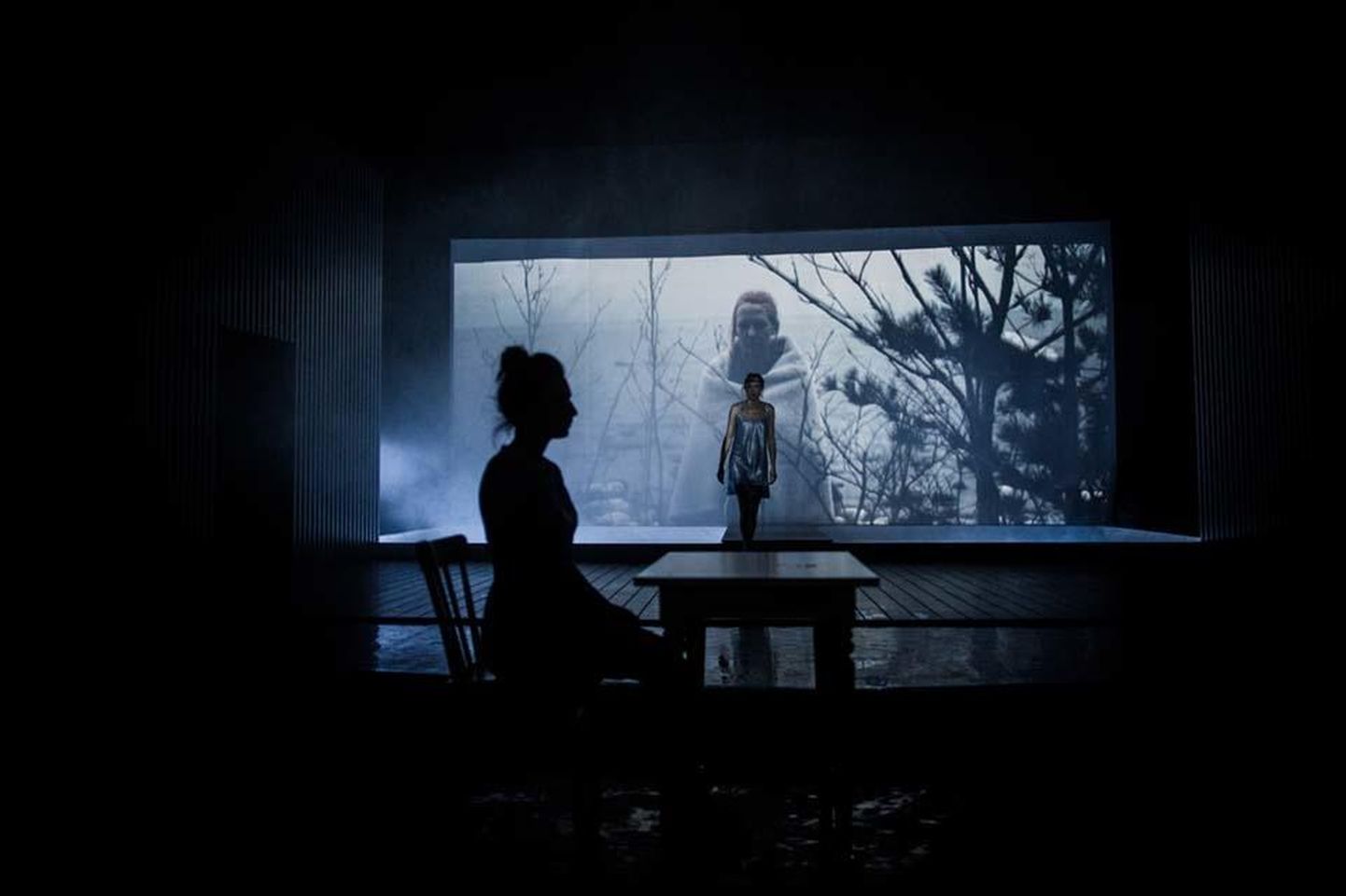 Ain Mäeots on toonud Vanemuise lavale Bergmani filmi «Persona», kus mängivad Linda Kolde, Ragne Pekarev, Marika Barabanštšikova, Veiko Porkanen või Ain Mäeots.
