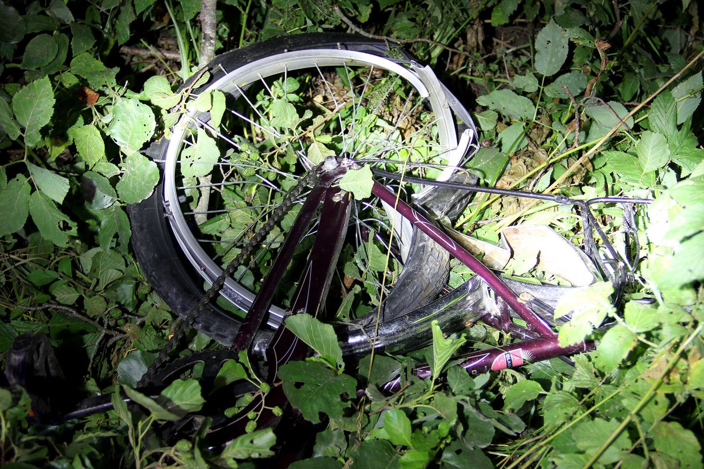 Pärnumaal hukkus liiklusõnnetuses 14aastane rattur.
