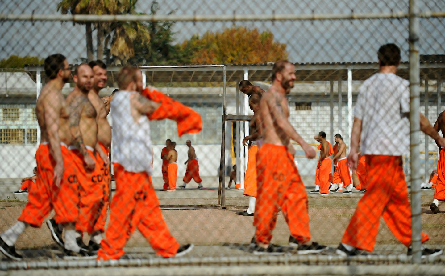 Vangid Ameerika Ühendriikides California osariigis Chino vangla hoovis. Erinevalt USA vangidest Eesti süüdimõistetud vanglahoovis särkis seljast võtta ei tohi.