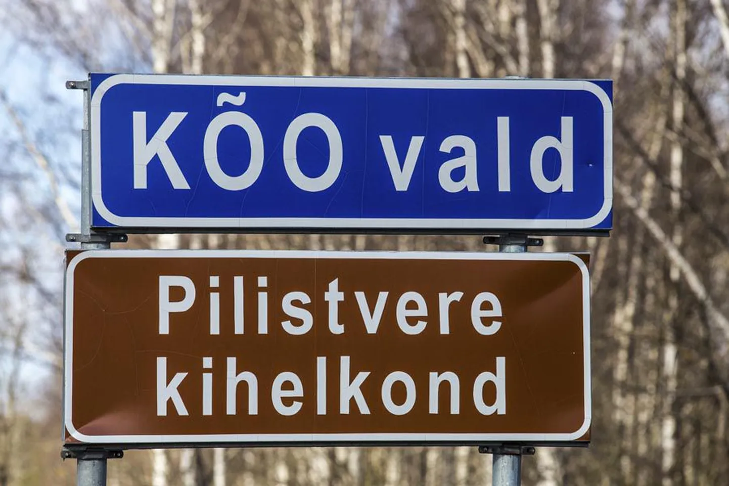 Haldusreformile mõeldes on Kõo valla vastu huvi ilmutanud ka mitu naabermaakondade omavalitsust.