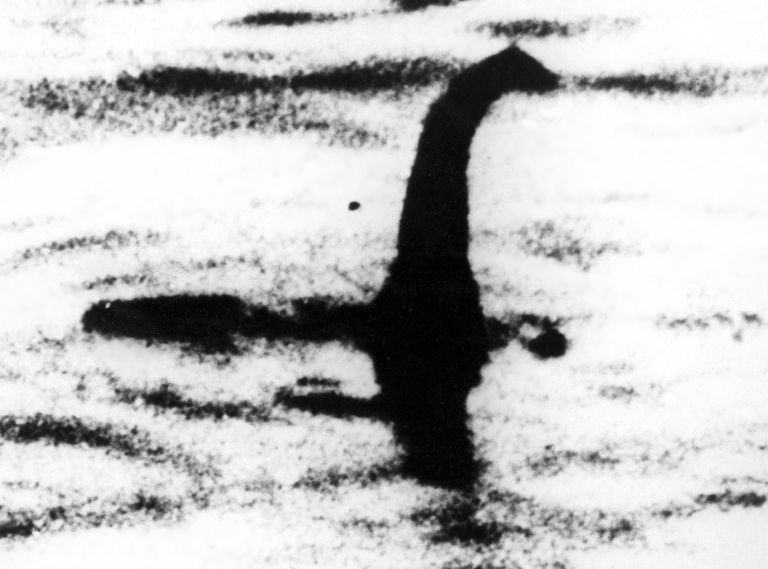 Foto, millel väidetavalt on Loch Nessi koletis