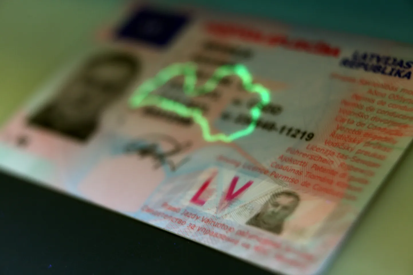 Jaunā parauga transportlīdzekļu vadītāja apliecība.