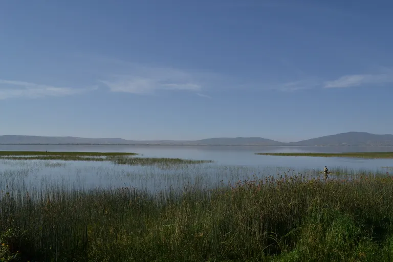 Artikli foto