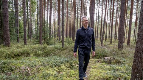Parimaks metsamajandajaks pürib tänavu 10 metsaomanikku