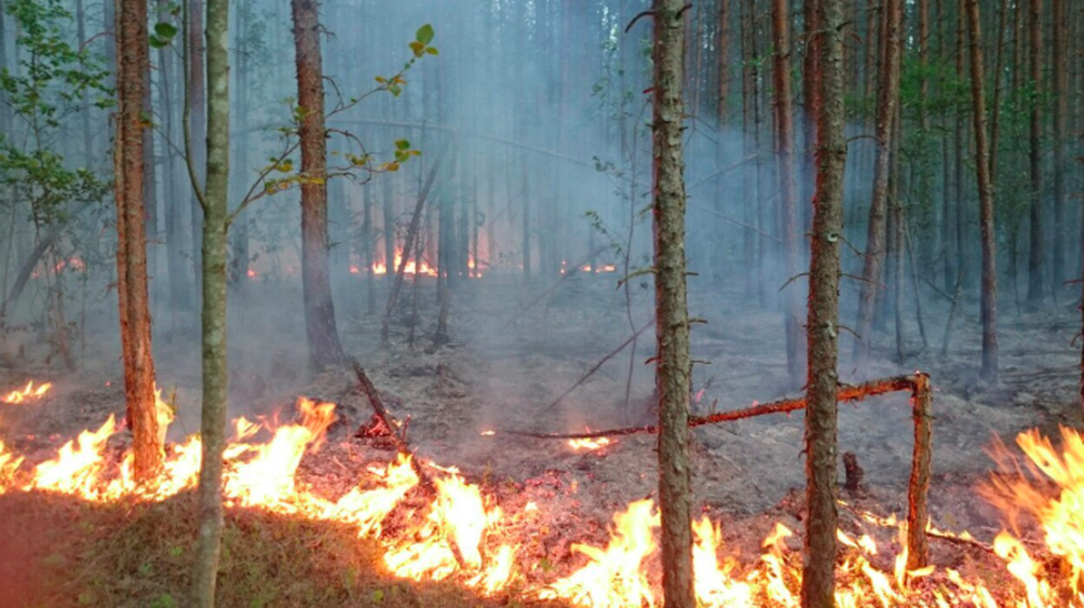 Kuningaküla metsatulekahju piirkonnas avastati eile uus metsapõleng.