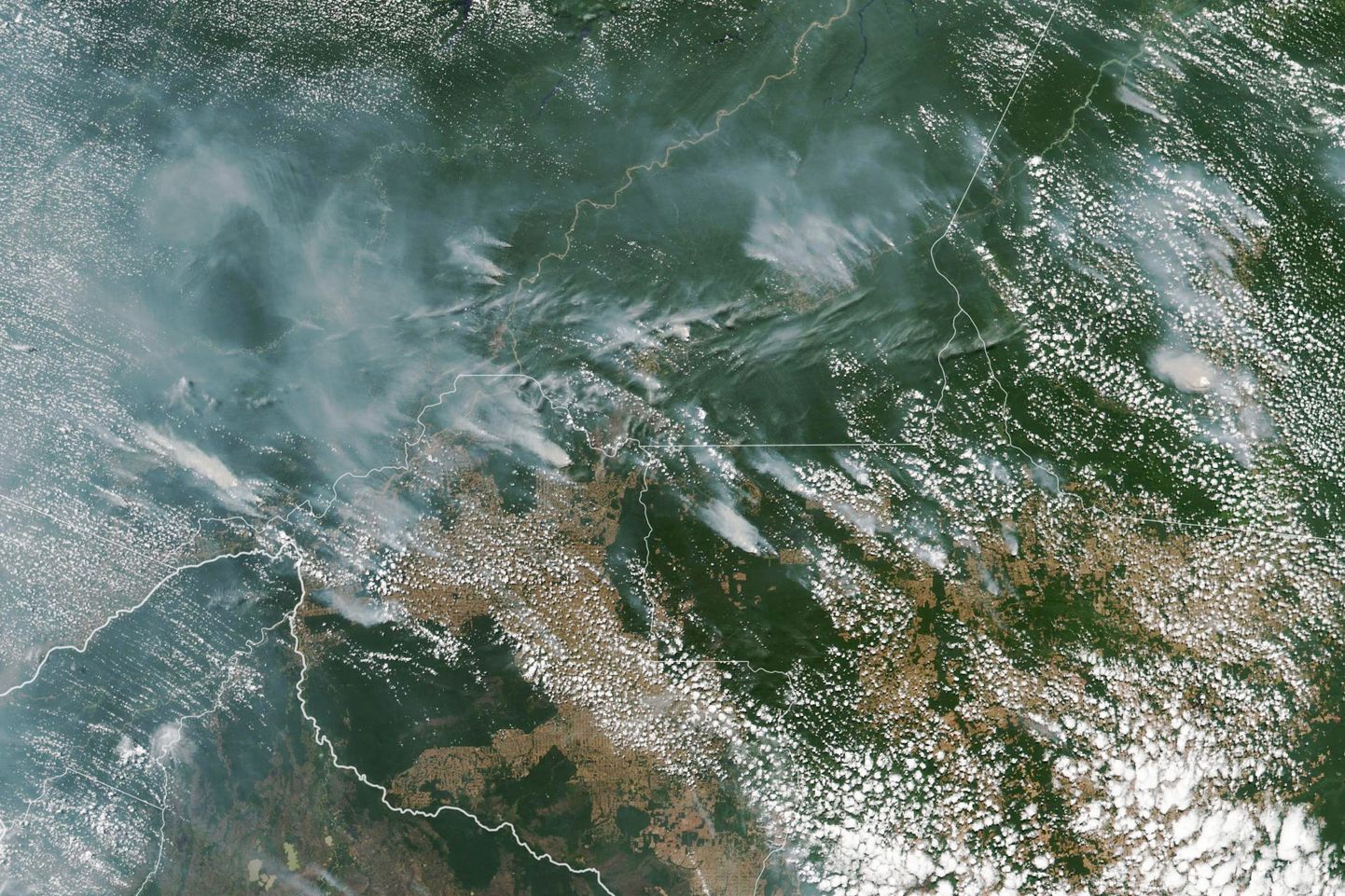 NASA satelliidipilt Brasiilia vihmametsa põlengualast