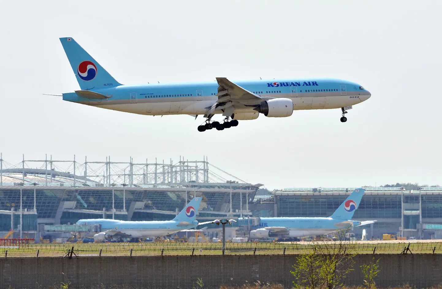 Jin Air on Korean Airi tütarfirma, pilt illustreeriv
