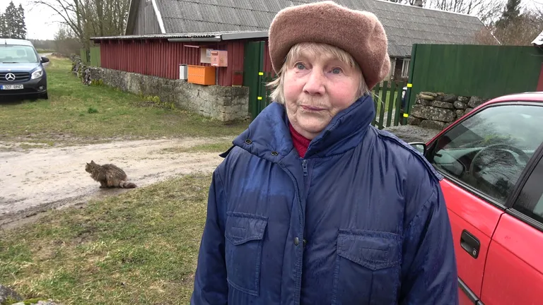 Virve Kärner