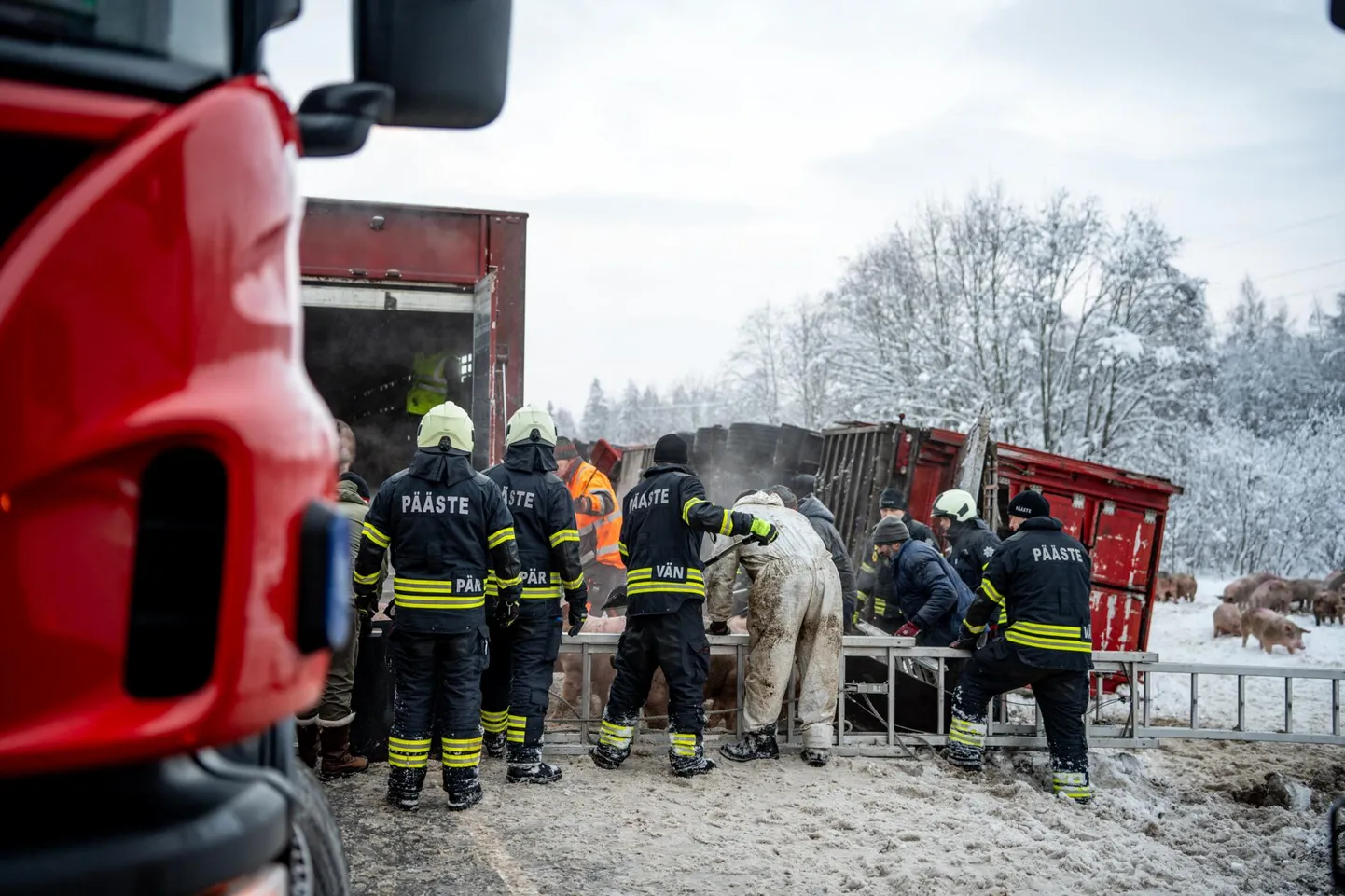 Sead läksid uude autosse vastumeelselt.
