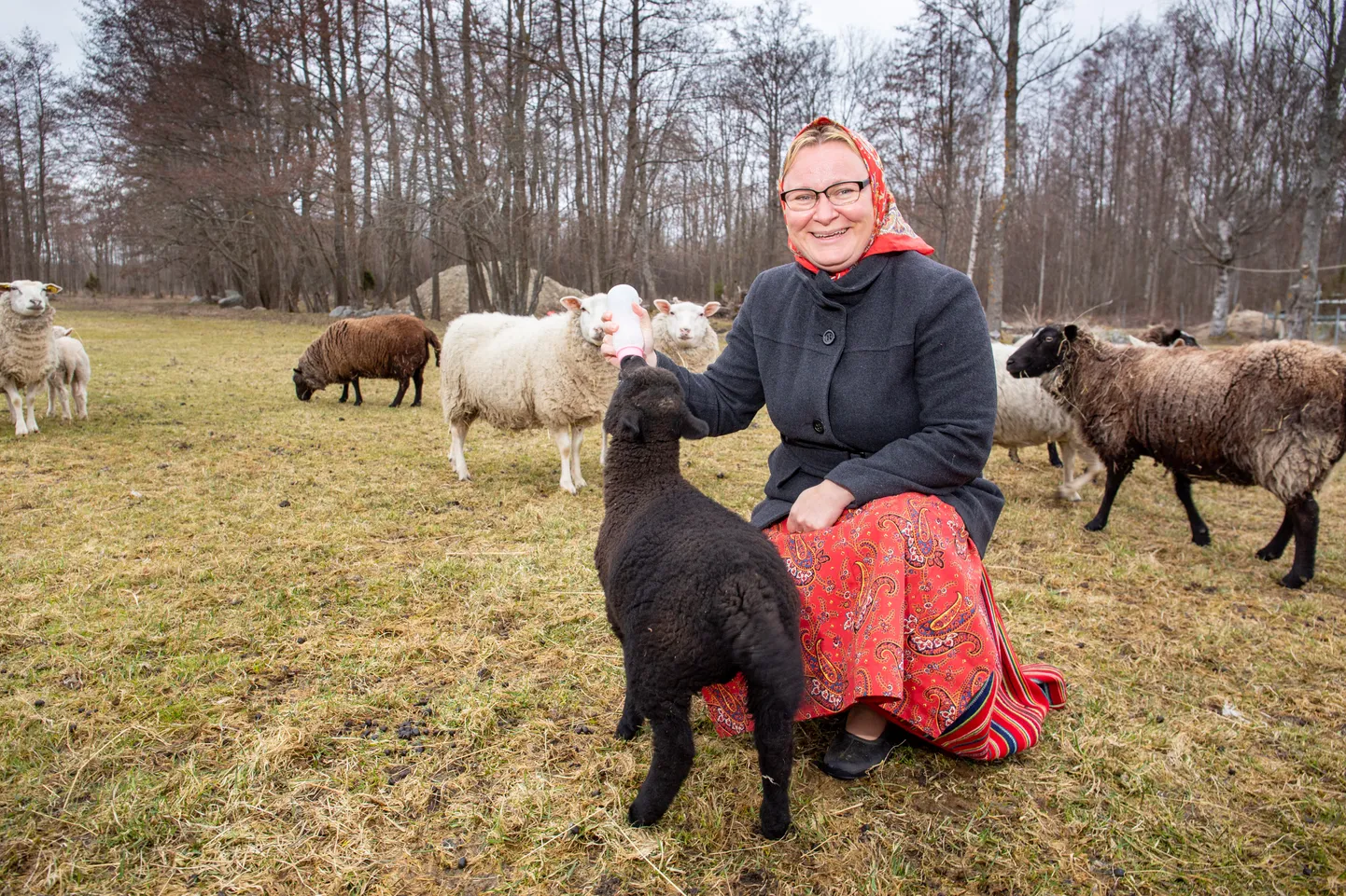 Mare Mätas.