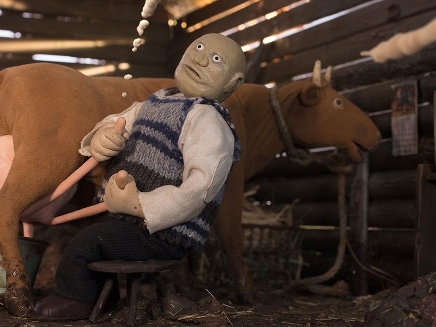 Eesti kinosid vallutavas "Vanamehe filmis" ajab peategelane lastelastega põgenenud lehma taga.