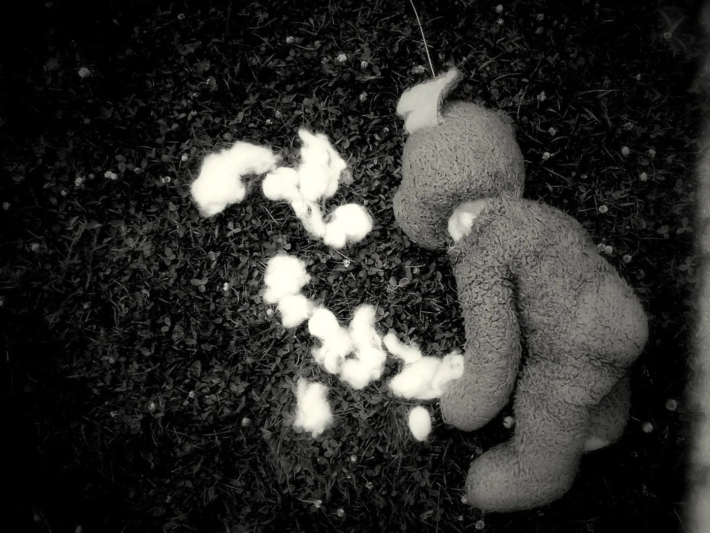 Raksta foto