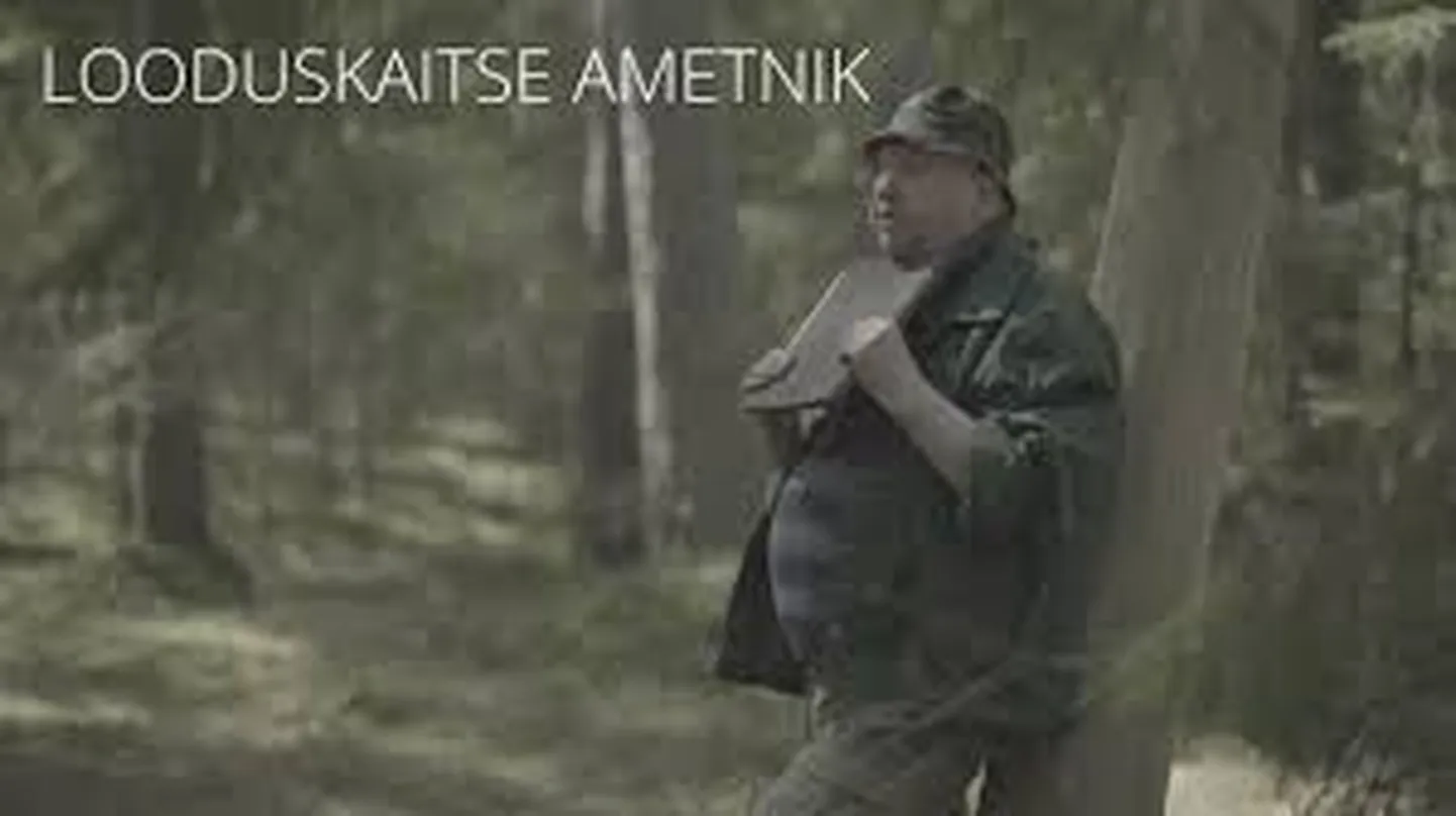 Artikli foto