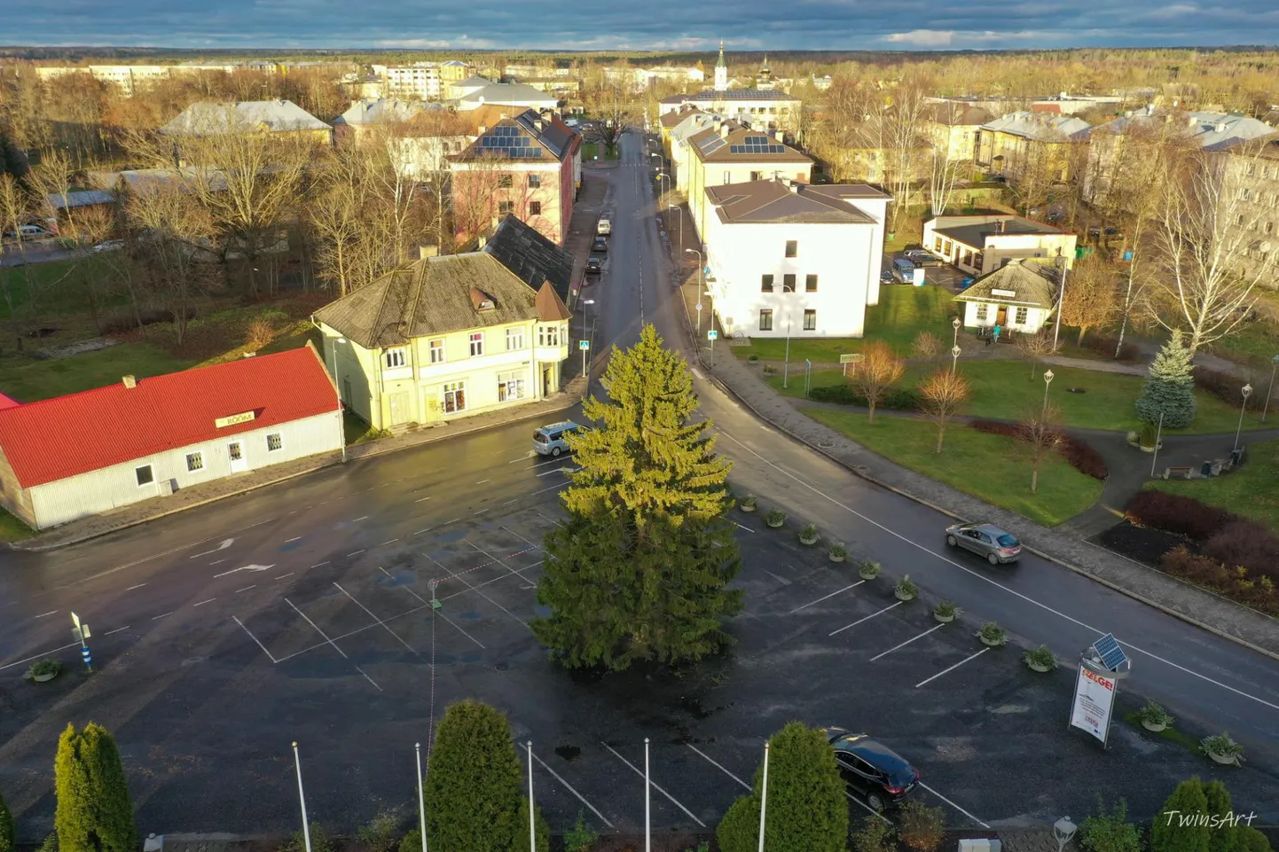 Tapale jõudis kahar jõulukuusk.
