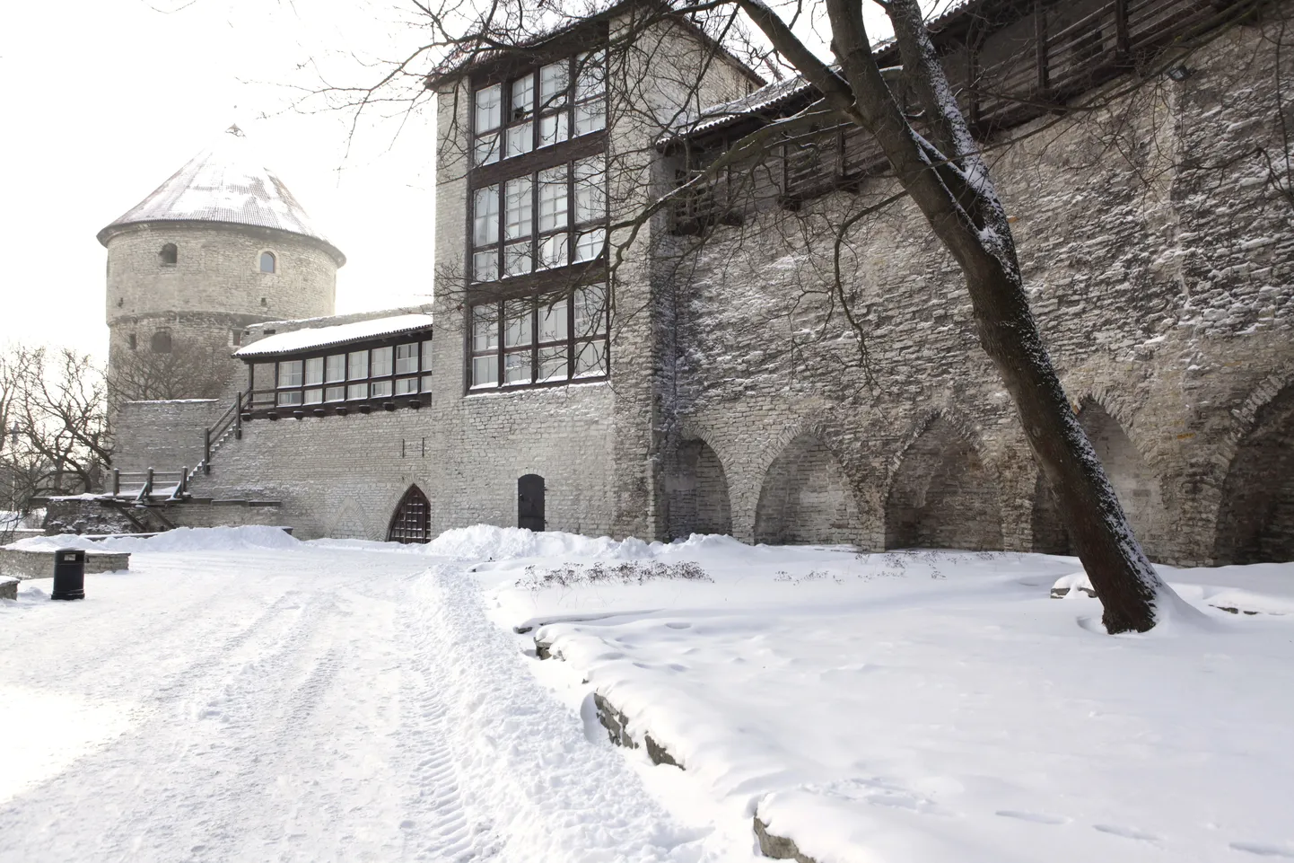 Фото статьи