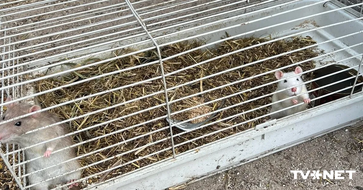 FOTO UN VIDEO Apmeklētāja ceļ trauksmi par attieksmi pret dzīvniekiem ...