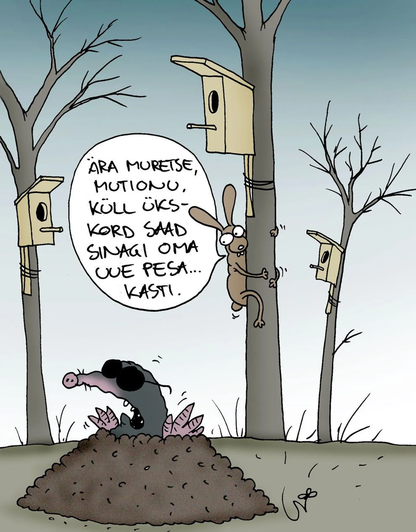 Artikli foto
