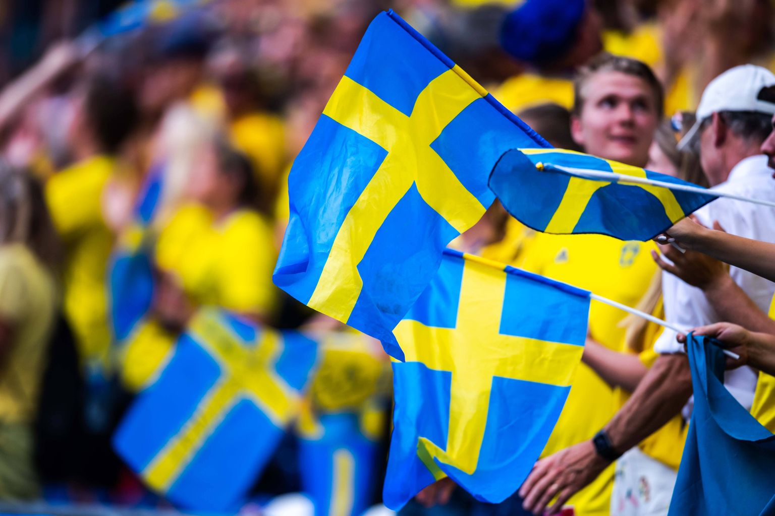 Rootsi lipud.