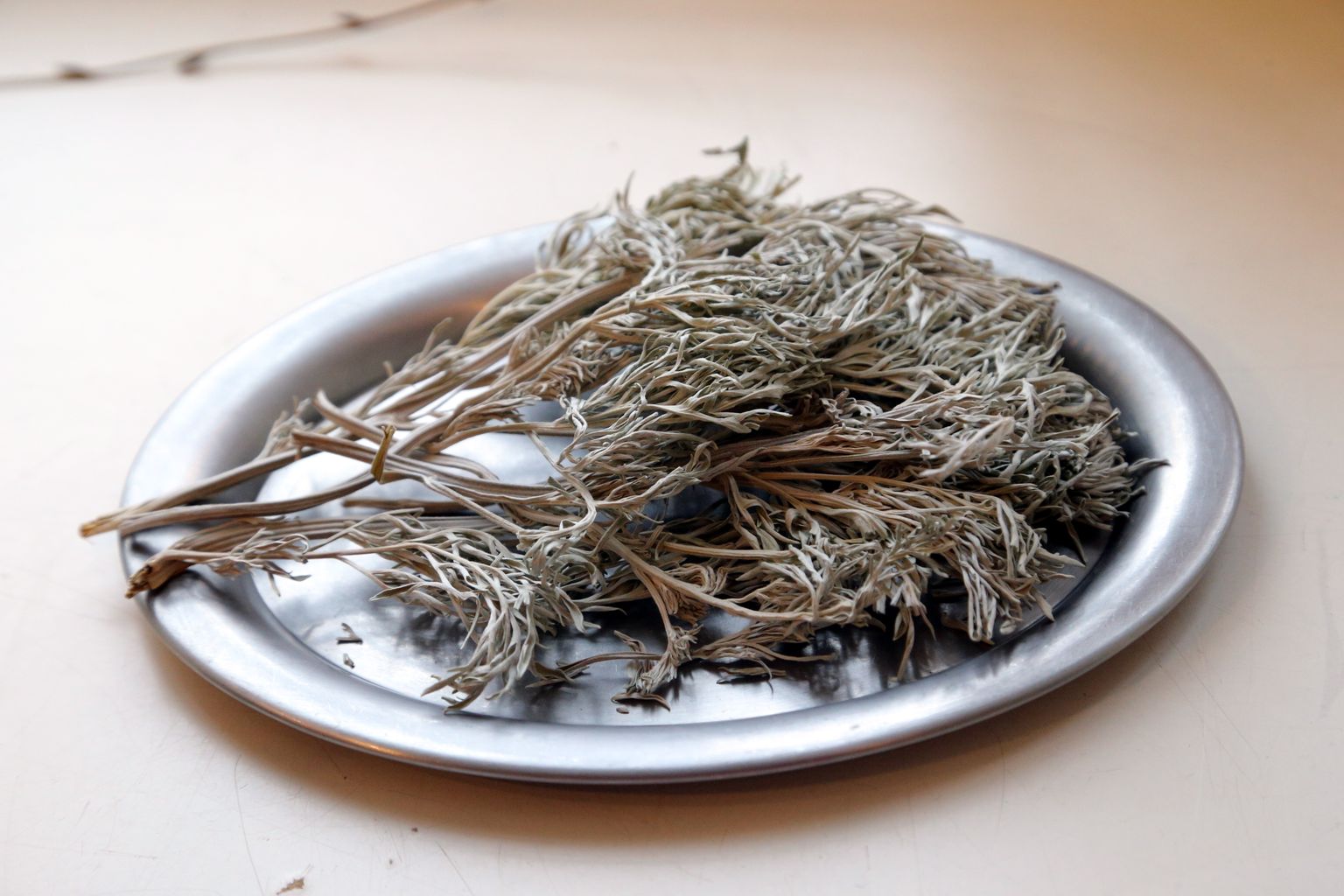 Koirohi on mürgine.