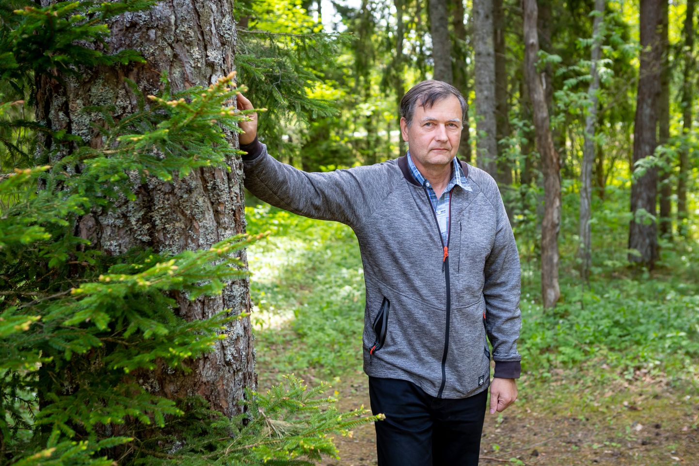 Fotol Jaan Prants, kes metsaülemana vastutab Saaremaa riigimetsa hea käekäigu eest.