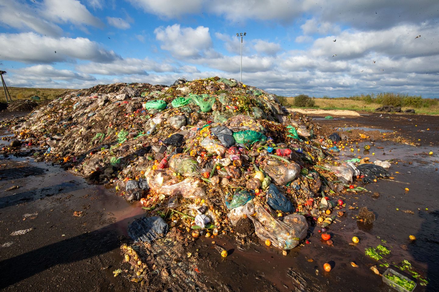 Järgmise pooleteise aasta suurim eesmärk jäätmevaldkonnas biojäätmete liigiti kogumise korraldamine.