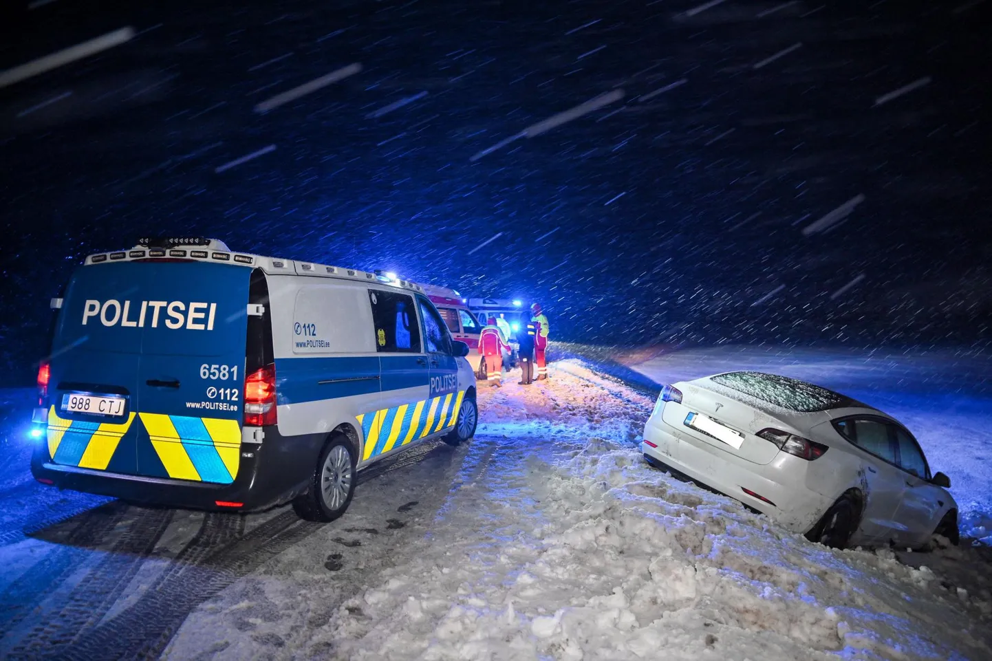 Tesla sõitis kraavi.