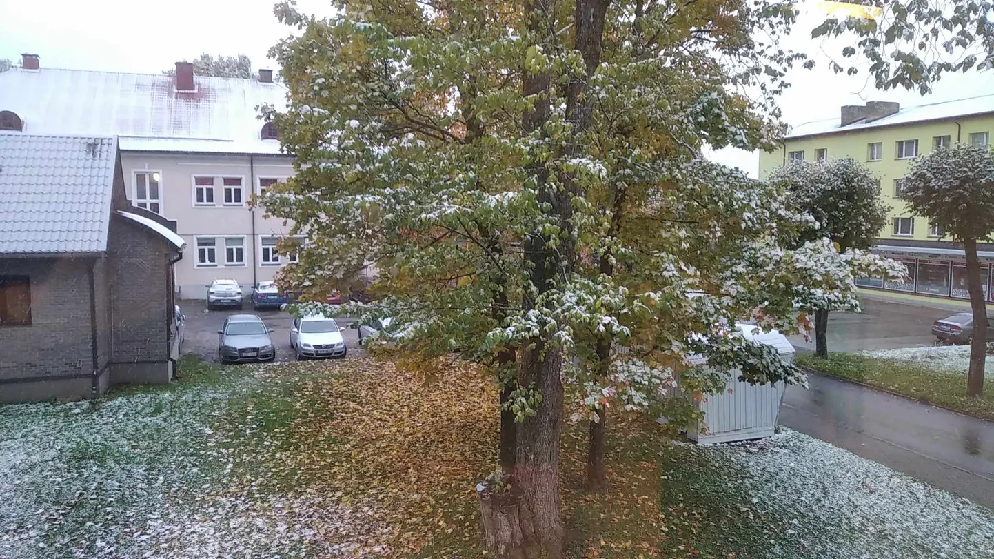 Paidesse saabus talv.