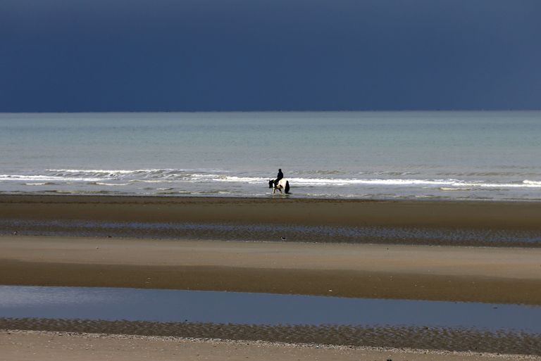 Belgia. Mees ratsutab Zeebrugge linna juures rannal hobusega. 