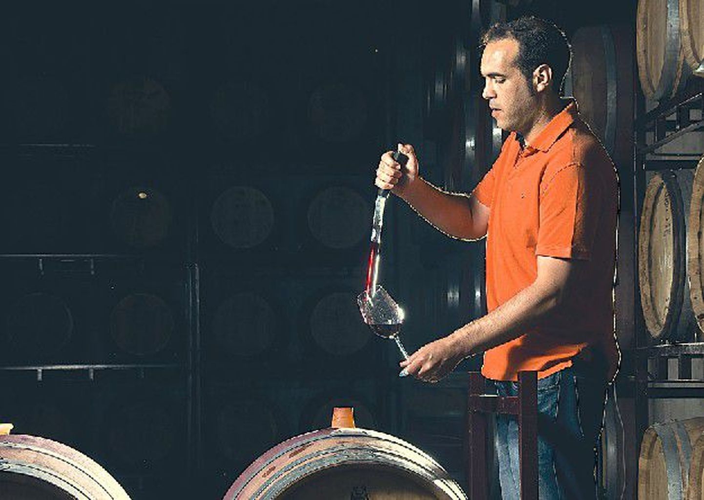 Jumilla
 veinimeister: 
Bartolo Abellán
 hoolitseb tootmise tehnilise poole eest.
