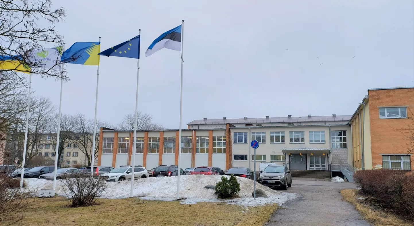 10. veebruaril asub Madli Sarv direktorina juhtima Järve kooli. Selles majas kestab õppetöö aga veel eeldatavalt vaid paar aastat, sest siis peaks valmima uus koolimaja riigigümnaasiumi naabruses.