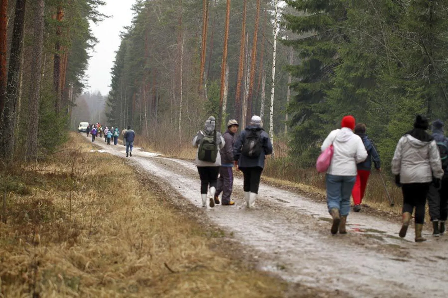 Pühapäev toob inimesed Vanaõue puhkekeskuse ja Kurgja vahelisele Sakala teele, mida mööda Carl Robert Jakobson käis Viljandisse ajalehte tegemas.