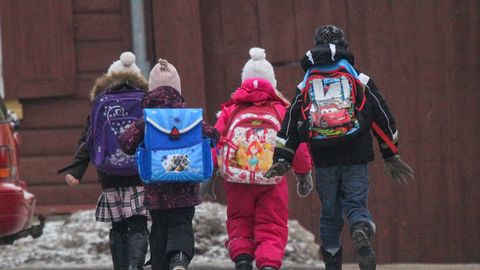 ООН разглядела «дискриминационные меры» в законе Эстонии о реформе русских школ