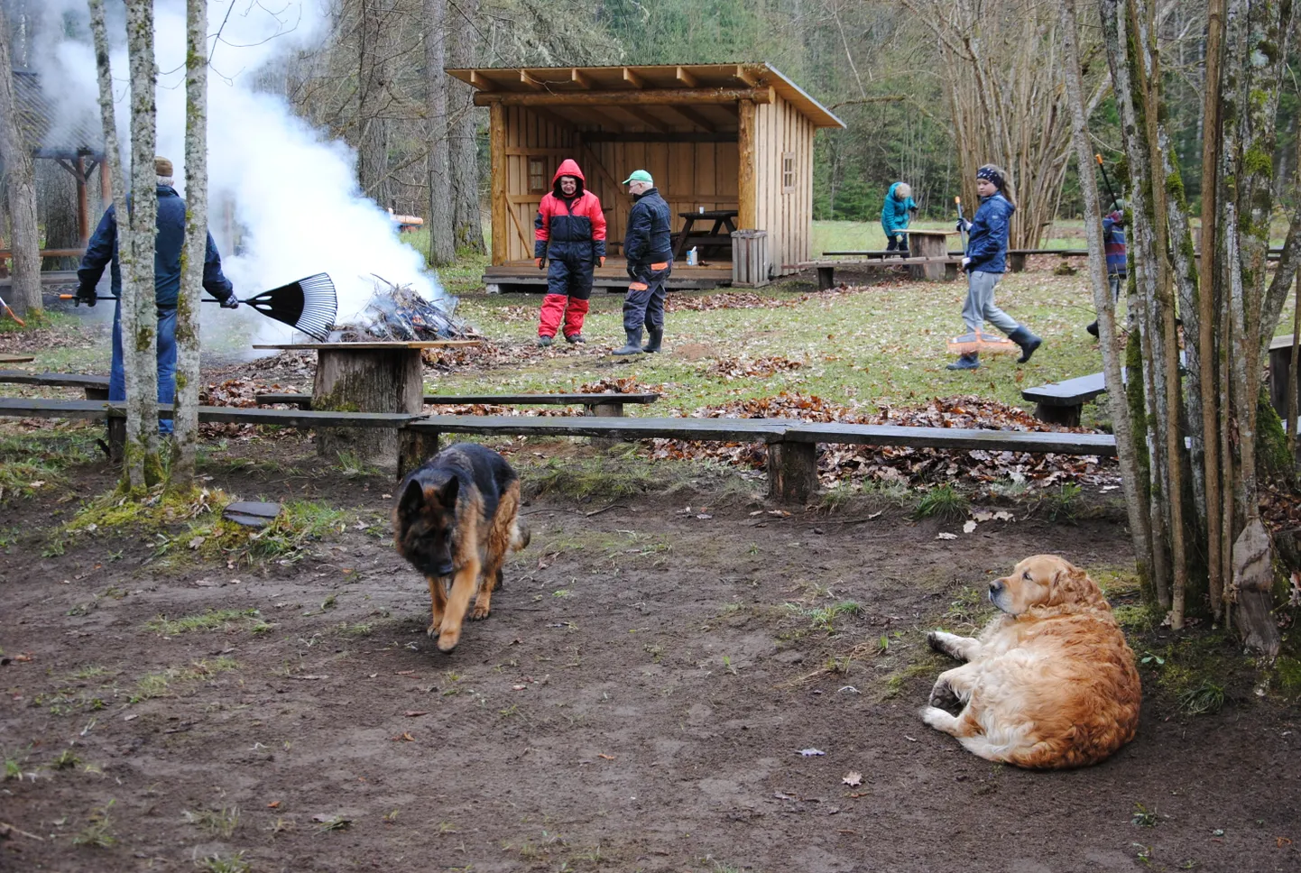 Rassi külad kevadtalgud.