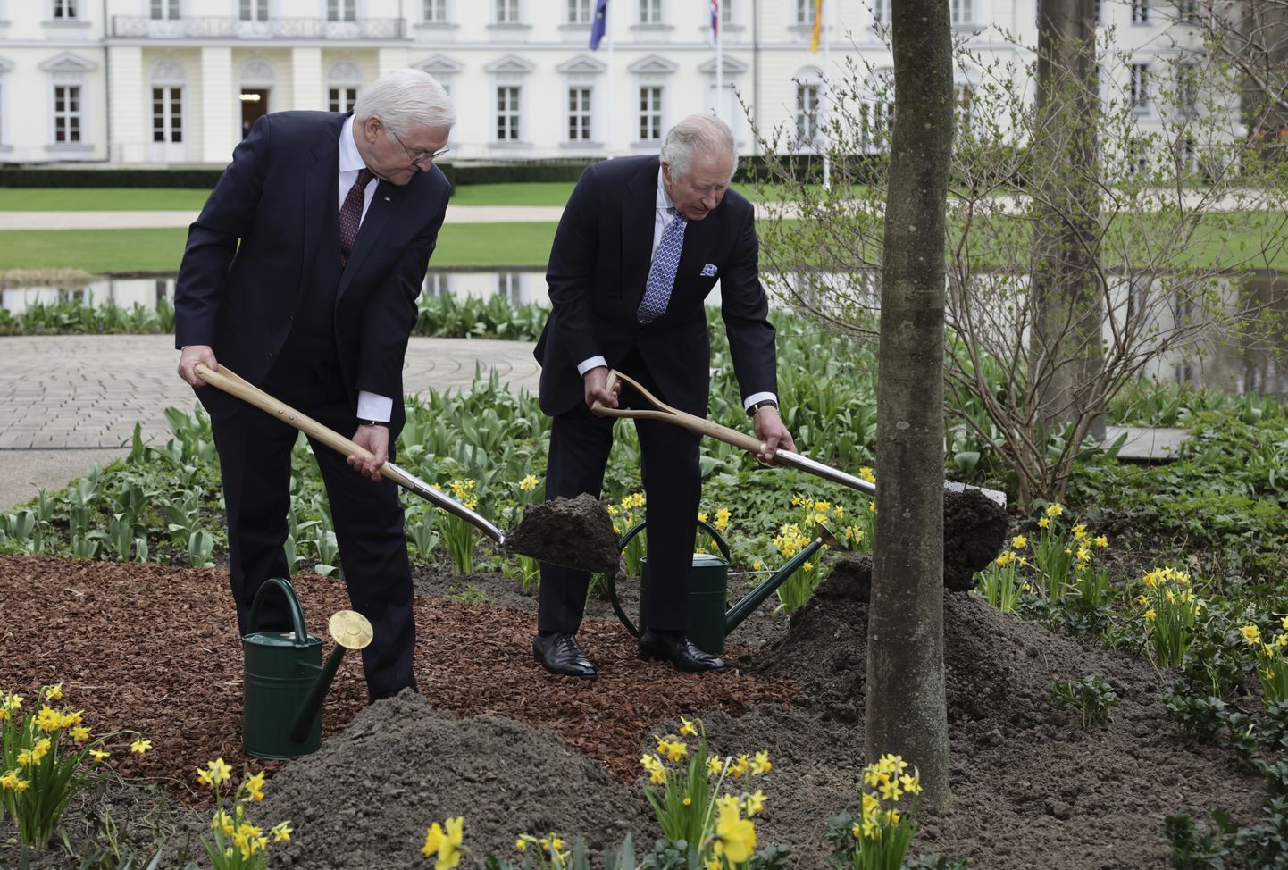 Saksamaa president Frank-Walter Steinmeier  ja Suurbritannia kuningas Charles III