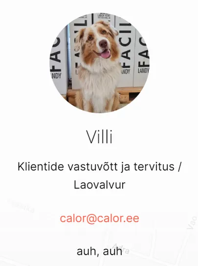 Villi tutvustus ettevõtte kodulehel.
