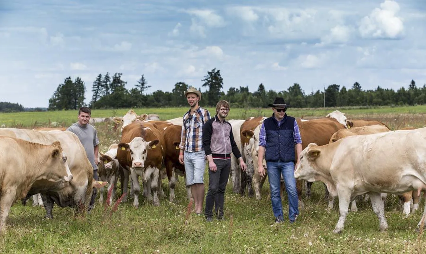 Kantrifestivali mõte hakkas idanema kolm aastat tagasi, kui (vasakult) Are Jänes ja Priit Oks otsustasid lihaveiseid kasvatama hakata. Sõprade seltskonnaga, kuhu kuuluvad ka Taavi Bergmann ja Andre Aavastik, sai käima lükatud kantripidu, mis saab kohe-kohe uhkema järje.