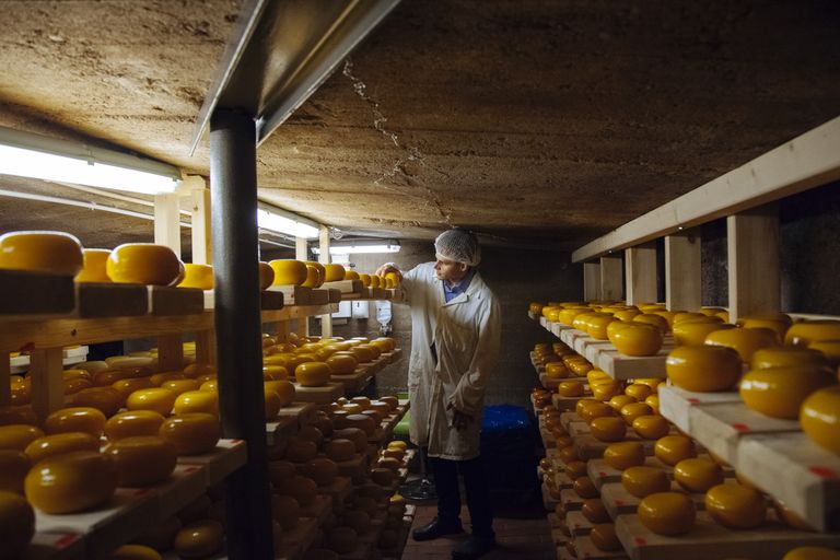 Viljandimaa juust valmib Pajumäe talus ning agroturistil on võimalik juustutegu oma silmaga näha.
