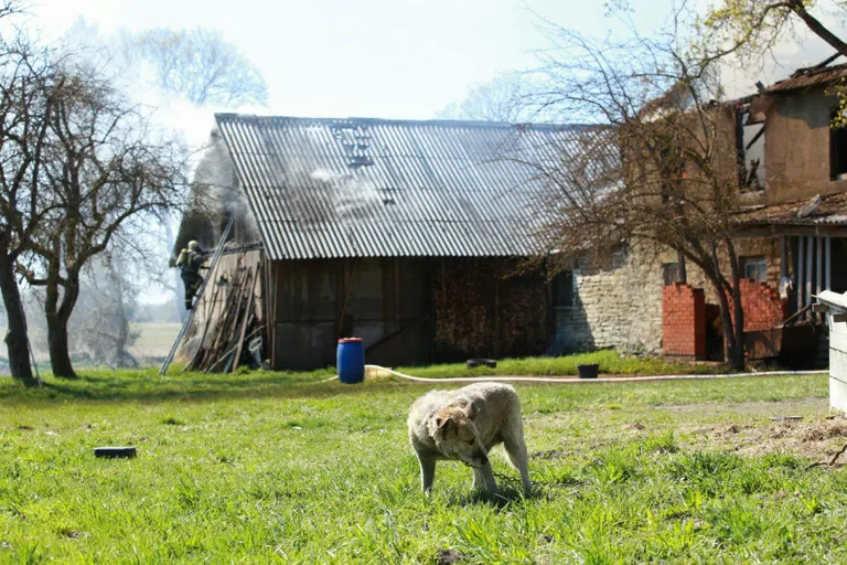 Põleng.