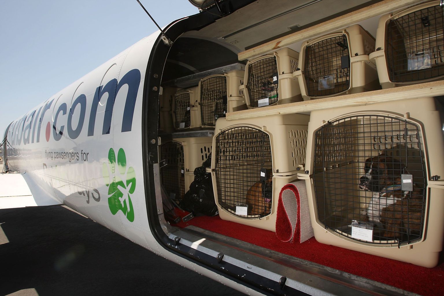 USAs tegutseb lausa lemmikloomade transportimisele pühendunud lennufirma.