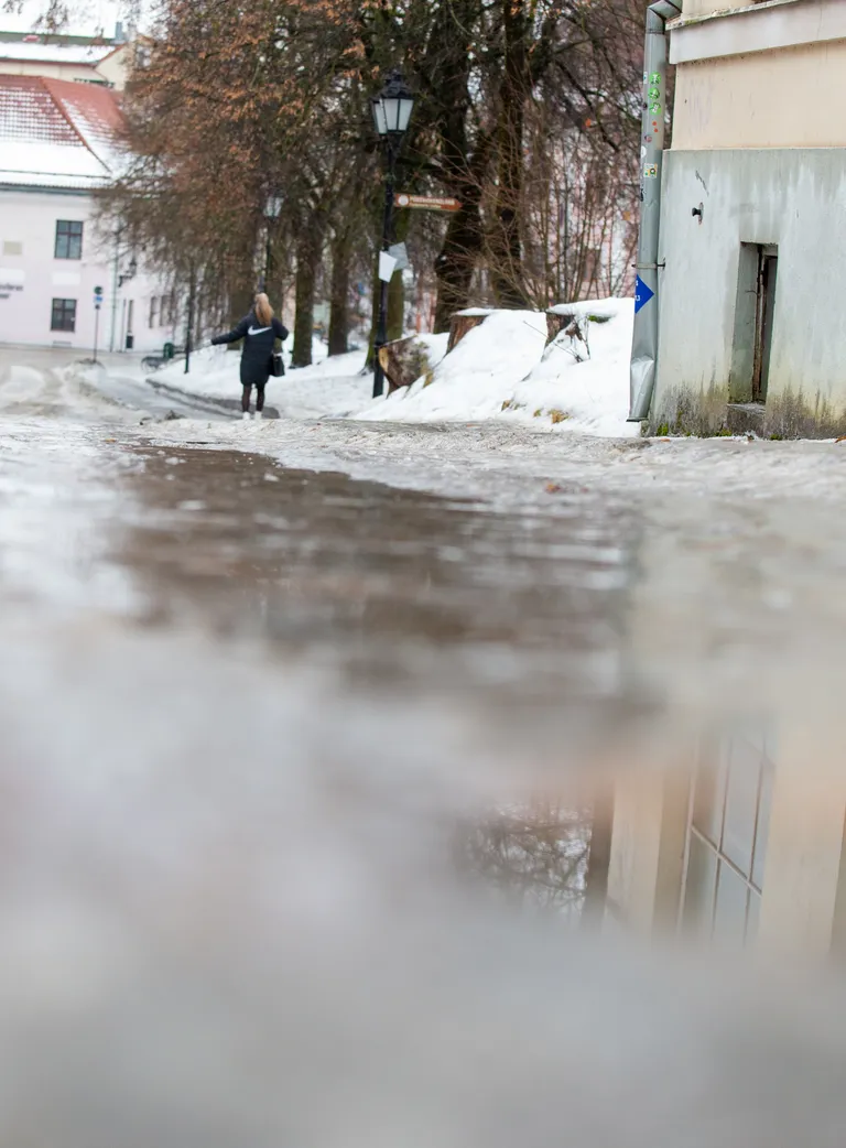 Pildil libe kõnnitee Lossi tänaval.