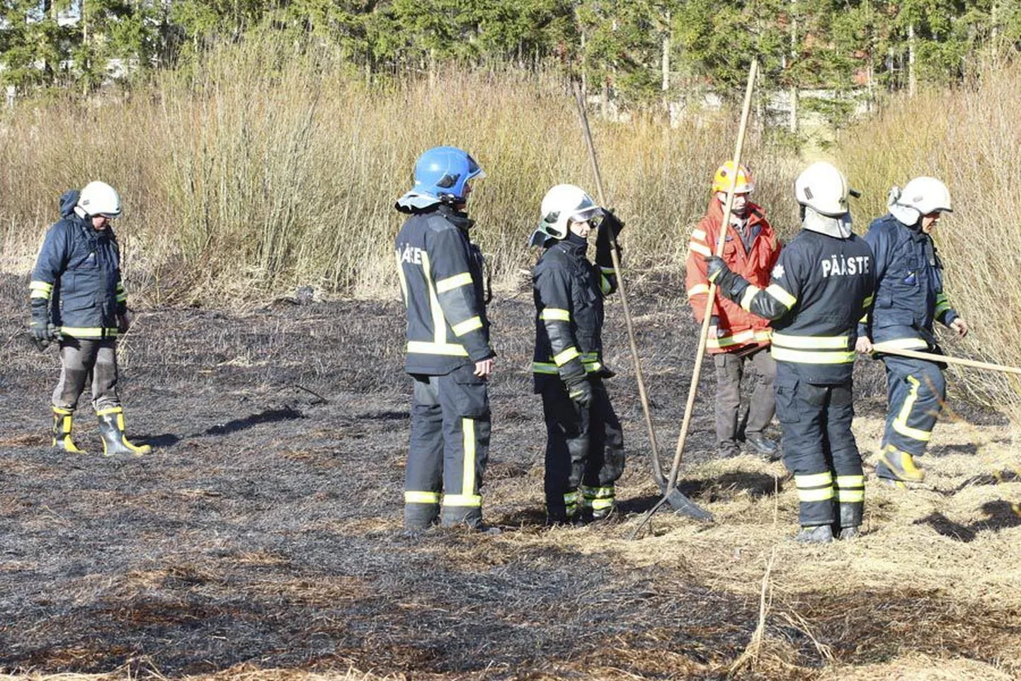 Asula serval põles hektar heinamaad.