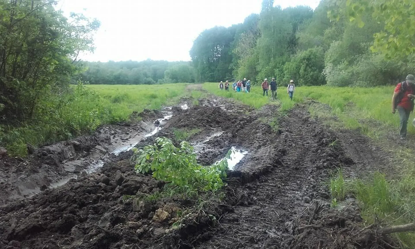 RMK rasketehnikast Kirna luhale jäänud sügavad rööpad.